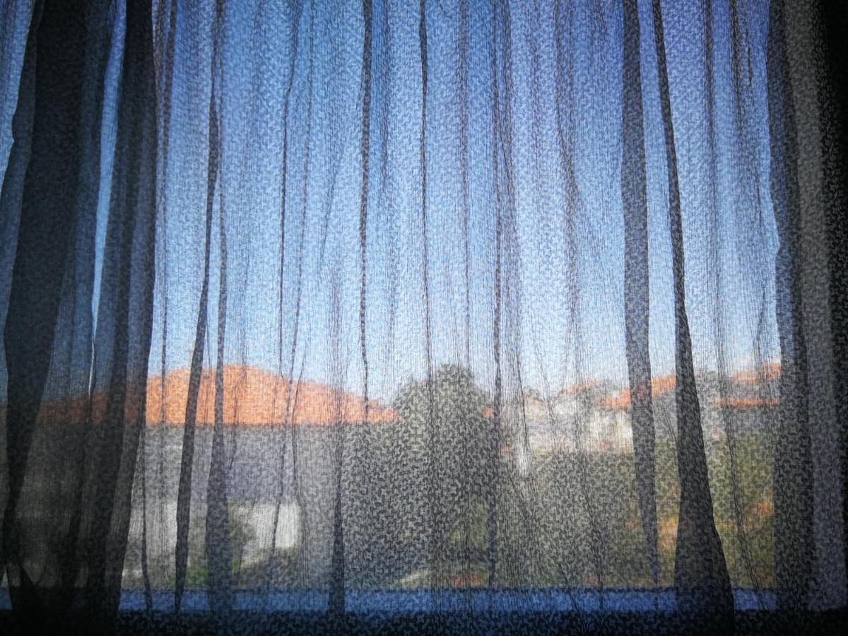 Apartment Brcic Biograd Na Moru Eksteriør billede