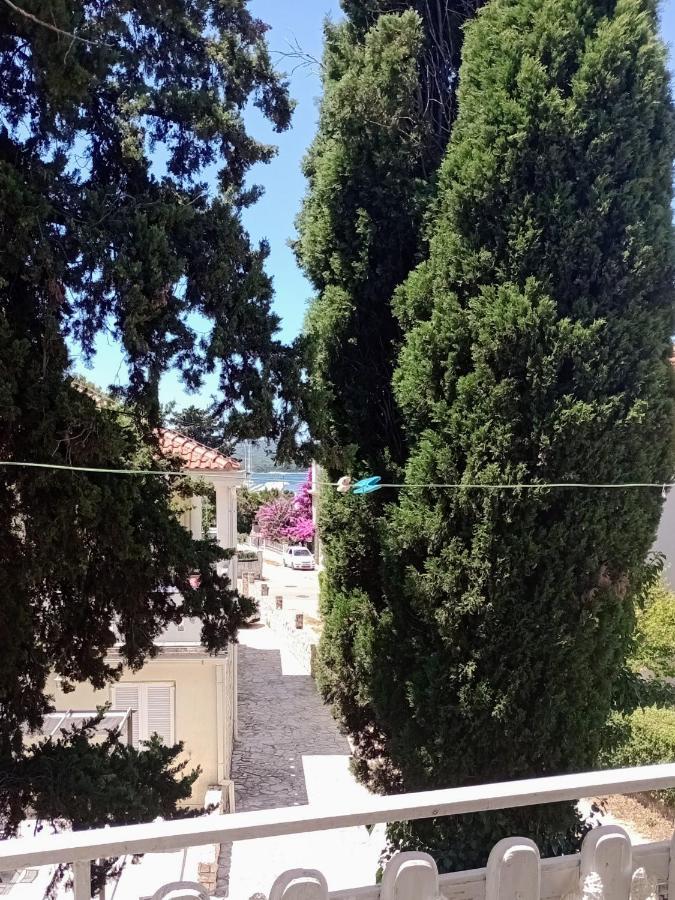 Apartment Brcic Biograd Na Moru Eksteriør billede